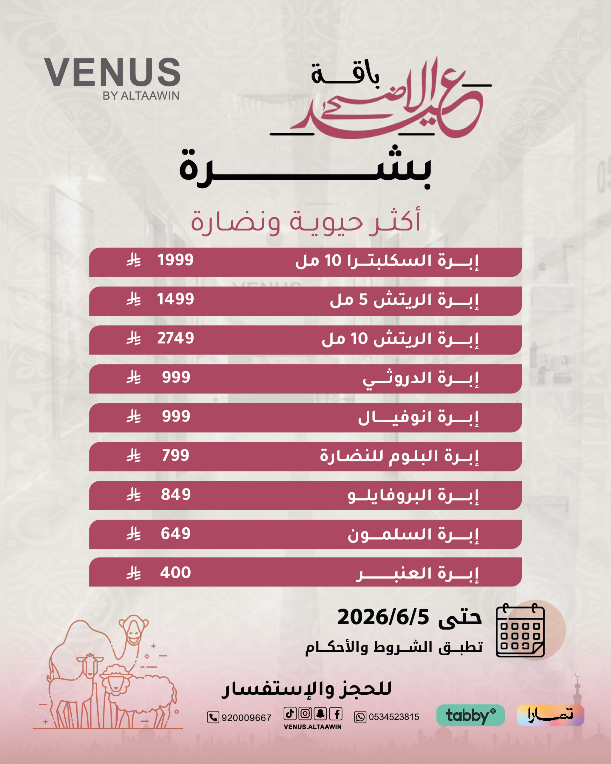 offervinus5-2026-04